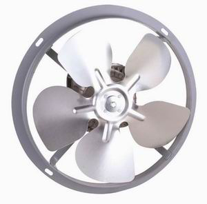 風(fēng)葉實物圖1